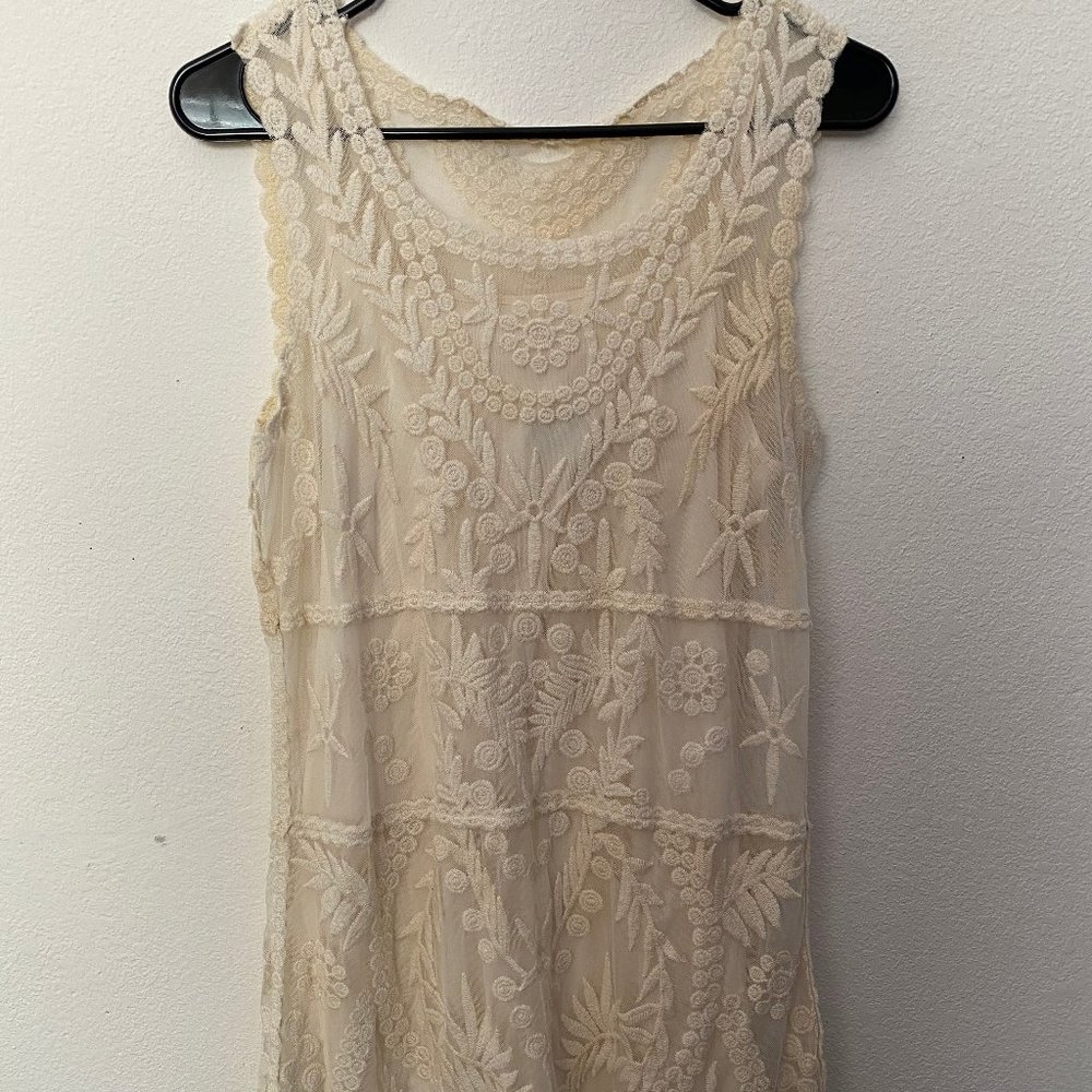 Express Knee High Lace Cream Dress